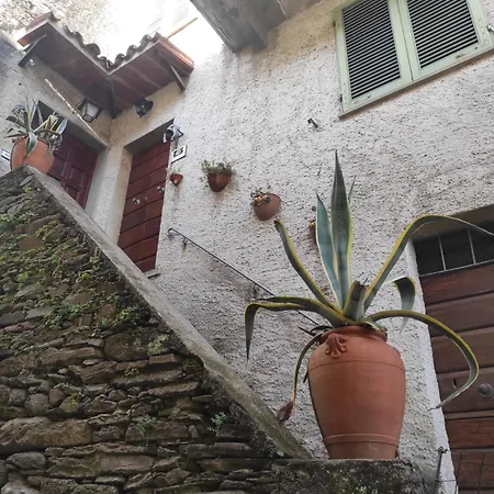 Le Prunache *