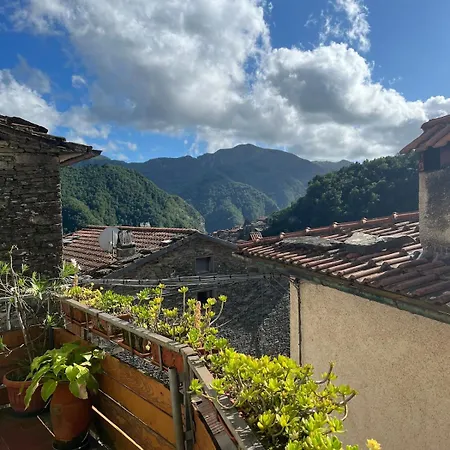 Nel Parco Alpi Apuane - Carnevale Di Viareggio Hébergement de vacances Stazzema