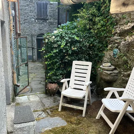 Nel Parco Alpi Apuane - Carnevale Di Viareggio *